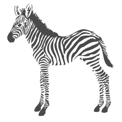 Estahome Zebra&#039;s Fotobehang  - 1,5 x 2,79 m - Zwart / Wit