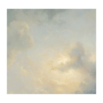 KEK AMSTERDAM Behang - Golden Age Clouds III - 6 Banen